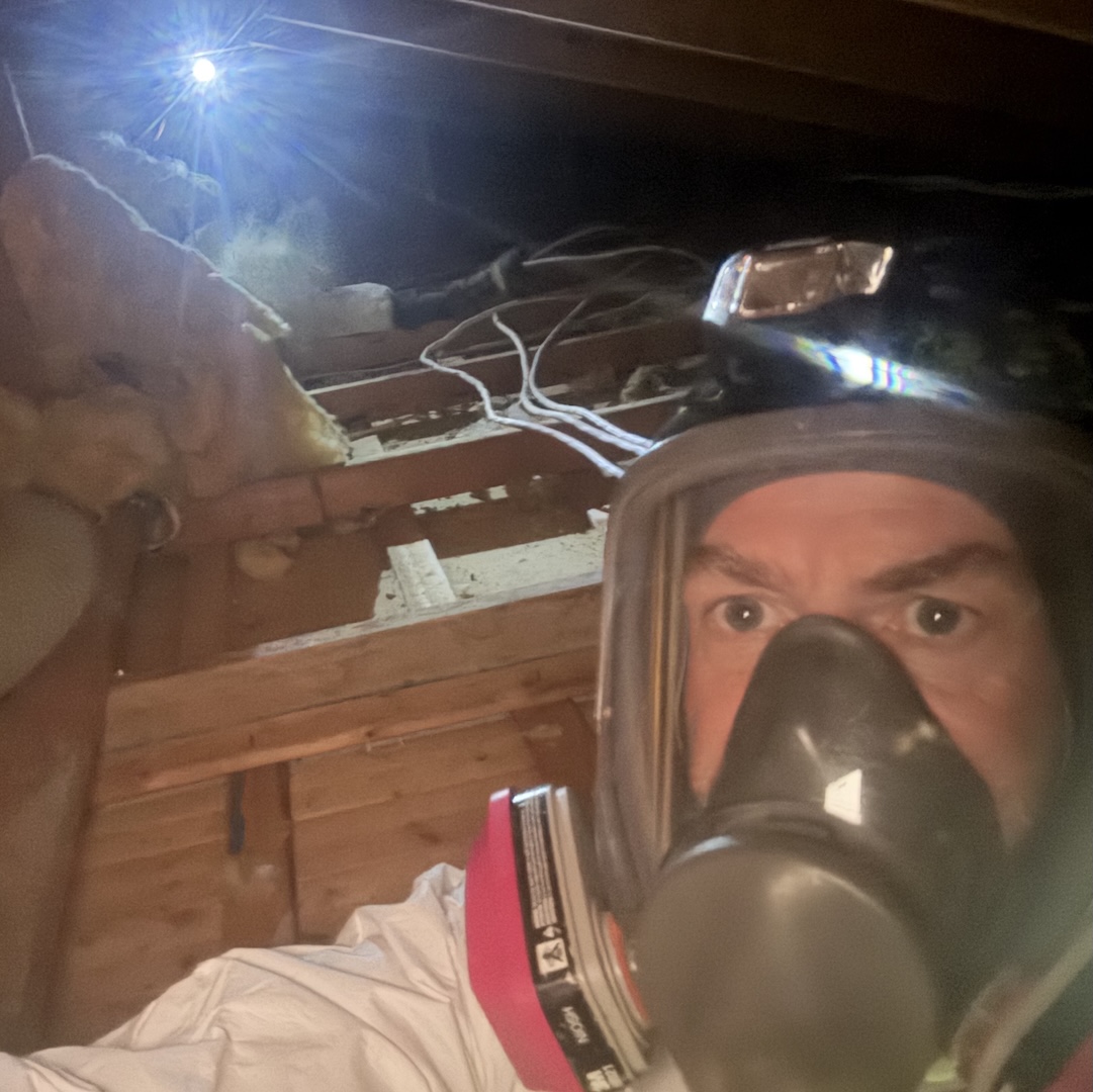 Attic damage and contamination caused by nuisance wildlife inside a Kalamazoo home