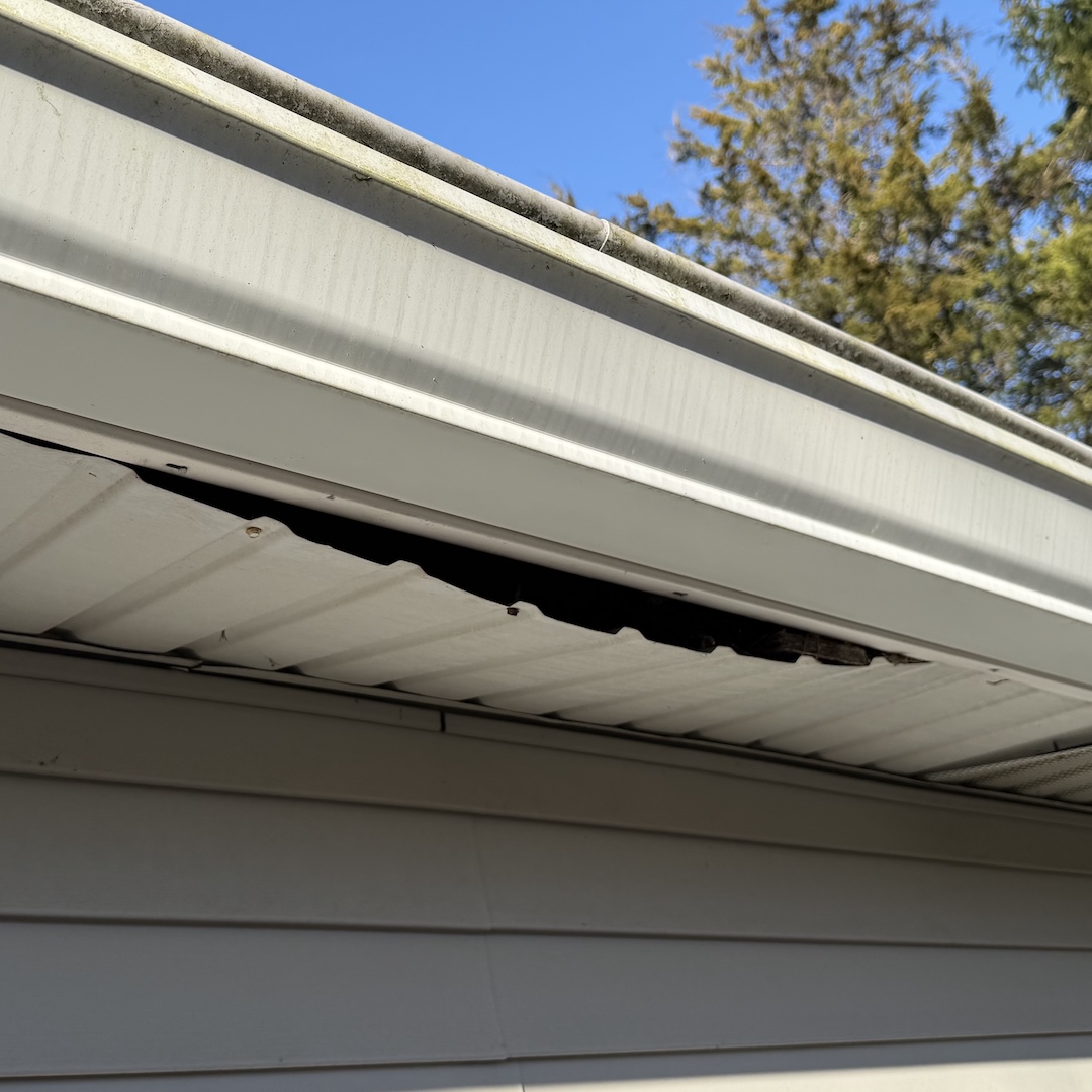 Gap in soffit where wildlife can enter a home in Kalamazoo, Michigan